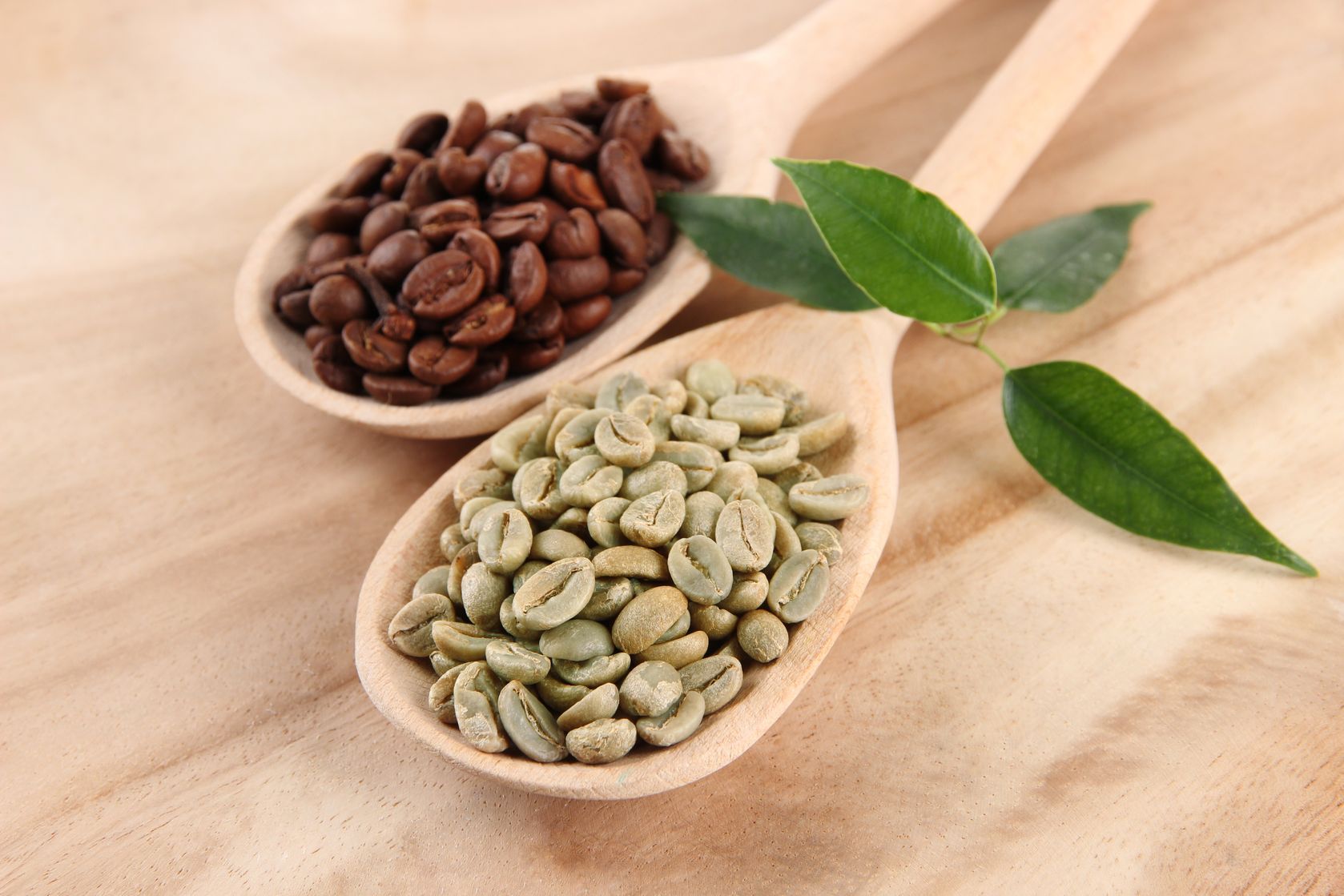 Caffe Verde