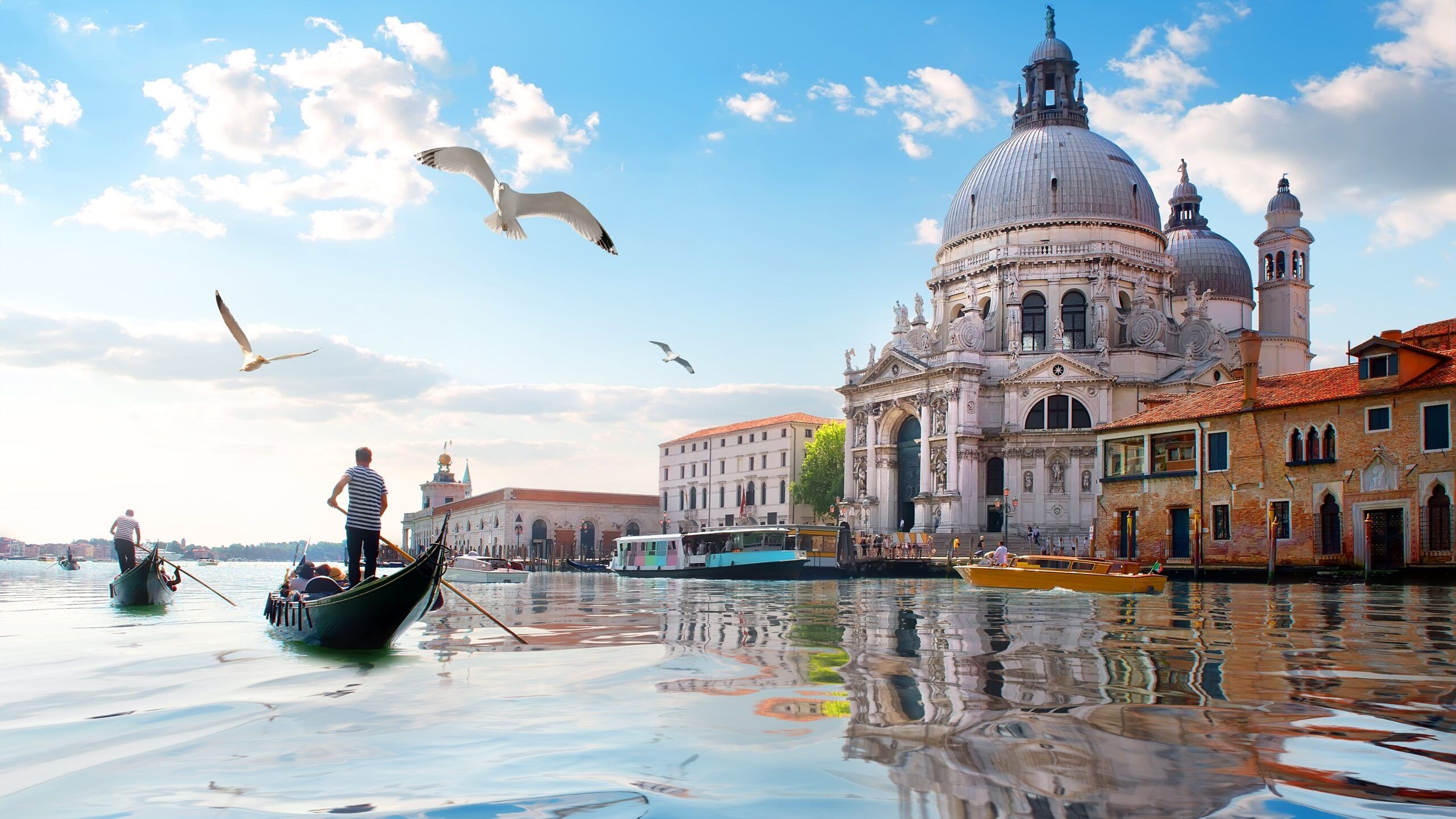 Cropped Venezia1 Scaled 1